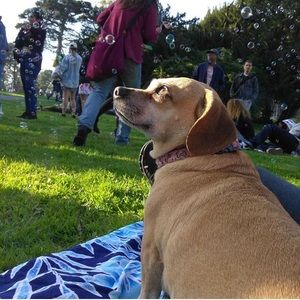 Meet your Posher, Crystal